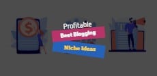 Profitable Blog Niches Featured Sidebar Image