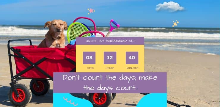 Make The Days Count
